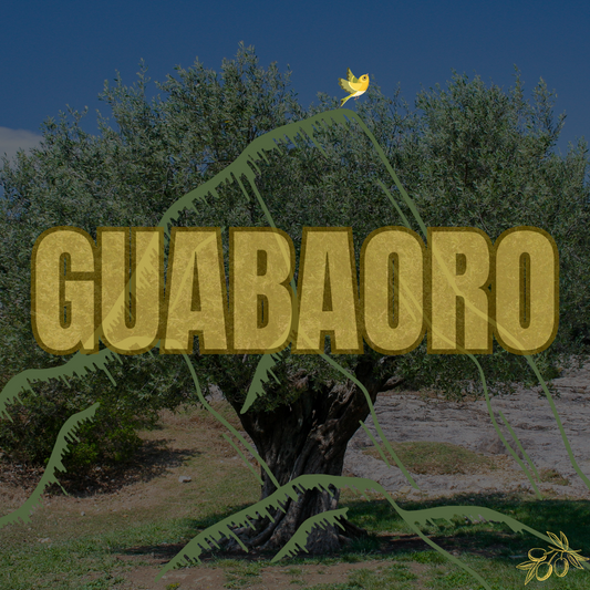 Guabaoro🥥