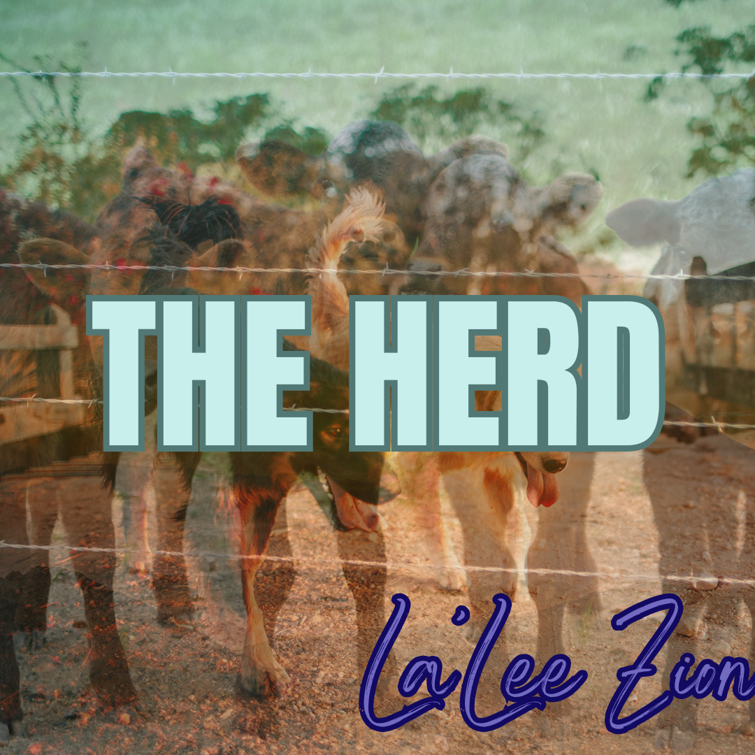 the herd