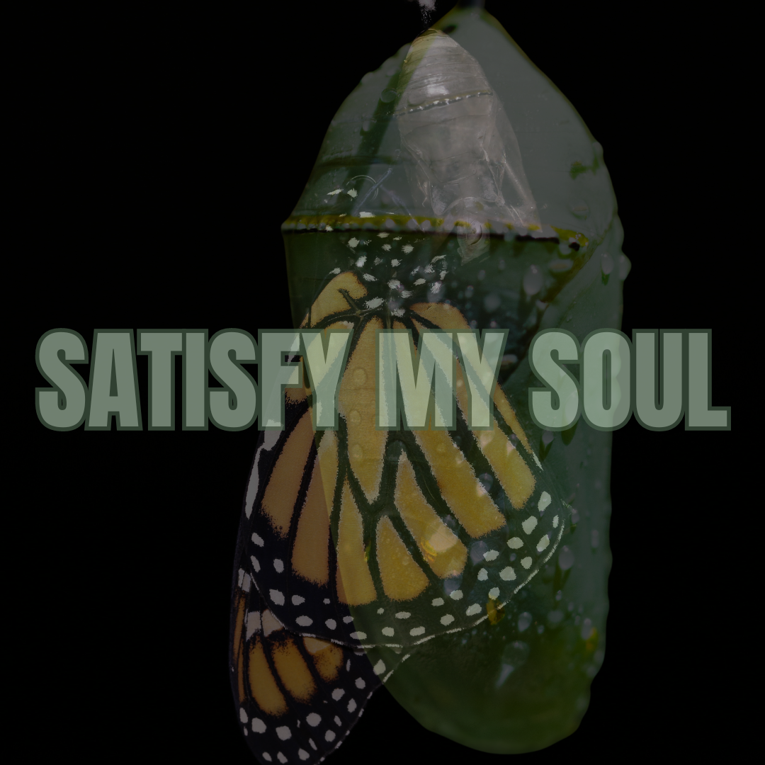 satisfy my soul