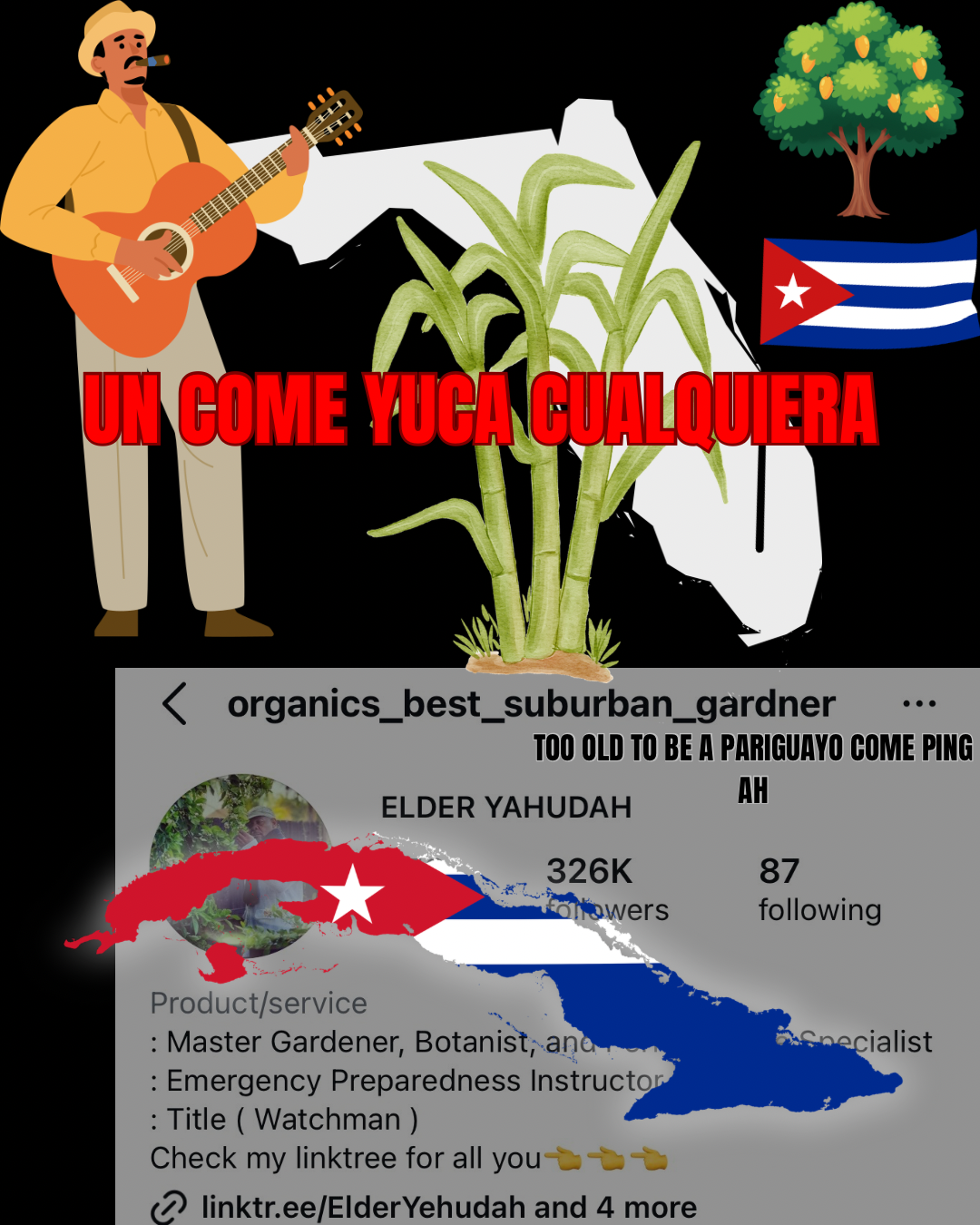 dedicated to un come yuca que ni come yuca mama eggs